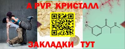 стафф Новокубанск