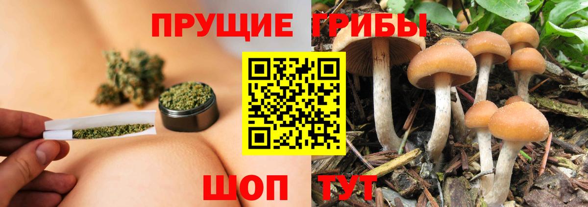 Верхняя Пышма  Псилоцибиновые грибы мухоморы  Вход с VPN 